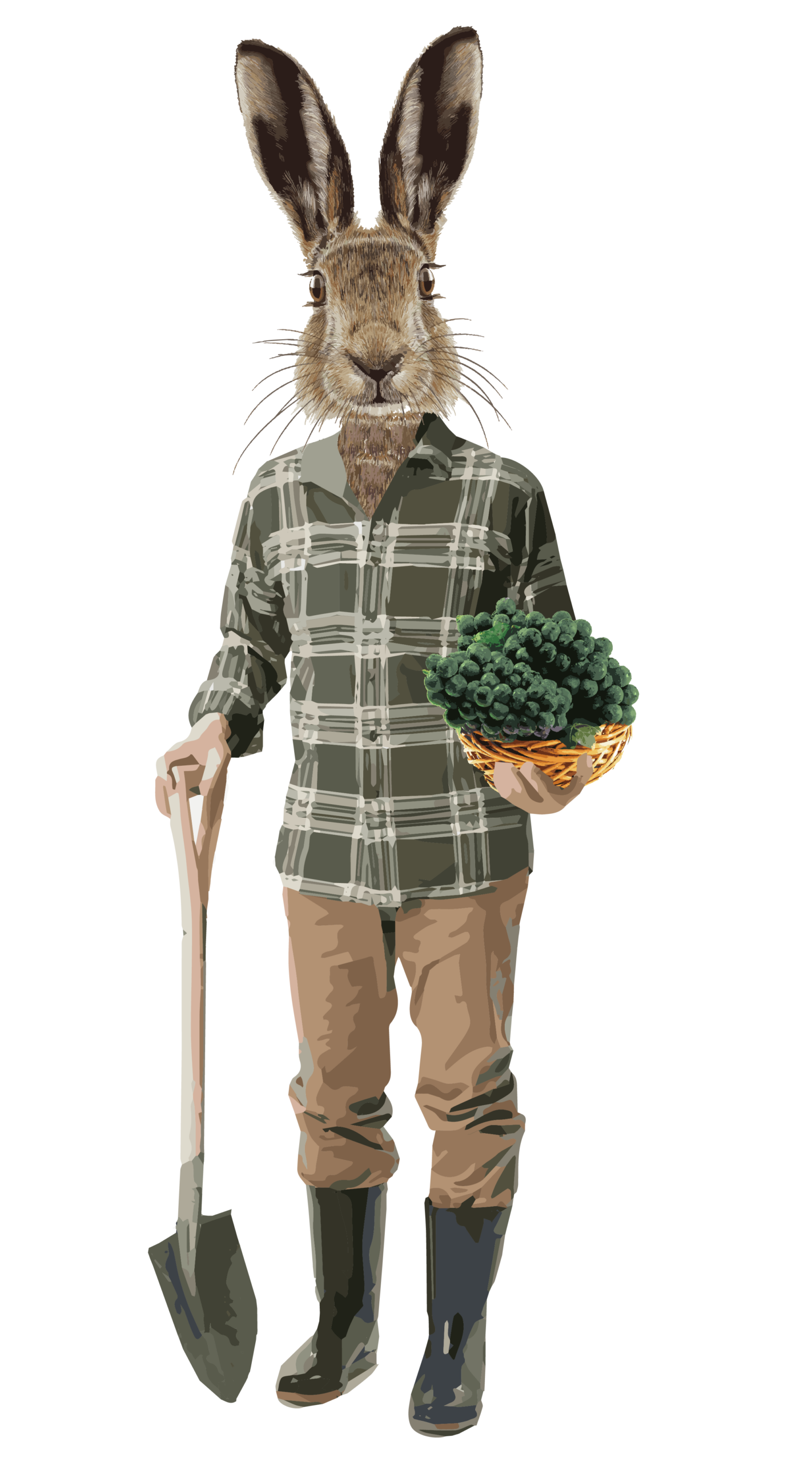 Spring rabbit-04 Nature Rabbit character dressed as a vineyard farmer