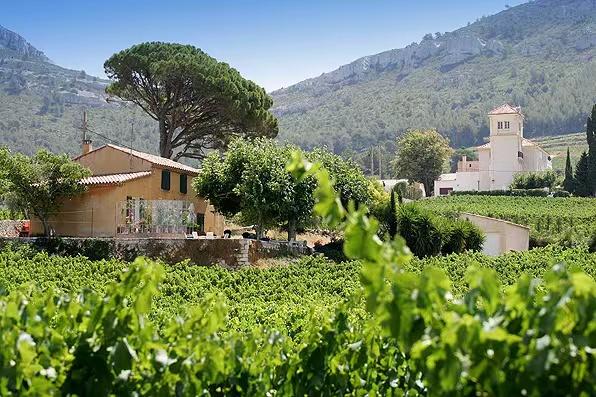 Vineyards surrounding a village and stone tower beneath wooded hills