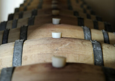 Close view along a row of oak wine barrels in the ageing cellar.